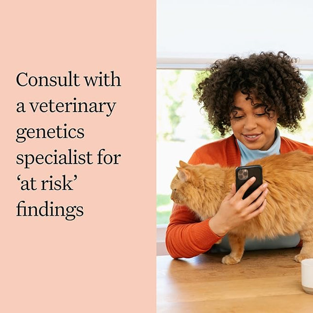 Wisdom Panel Complete: Comprehensive Cat DNA Test kit for 45 Health Genetic Health Conditions, 70+ Breeds and populations, 25+ Traits, Blood Type - Pack of 1