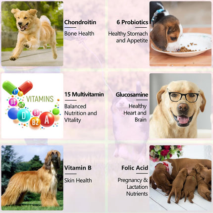 15 in 1 Dog Multivitamin, All-in-One Multi Liquid Multivitamin for Dogs