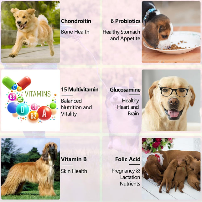 15 in 1 Dog Multivitamin, All-in-One Multi Liquid Multivitamin for Dogs