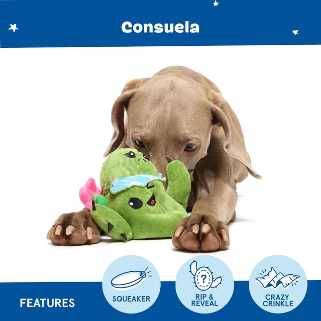 BarkBox Interactive 2-in-1 Stuffed Plush Squeaky Dog Toy