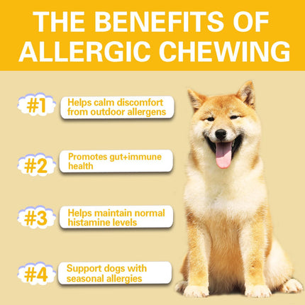 Natural Allergy Relief Chews for Dogs – Advanced Formula with Omega-3, Turmeric & Probiotics for Itchy Skin, Seasonal Allergy Support & Immune Health – Vet-Approved, Delicious Chicken Flavor