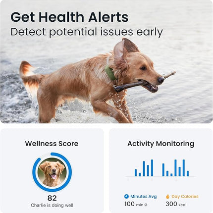 Tractive Dog XL GPS Tracker for Large Dogs, Green