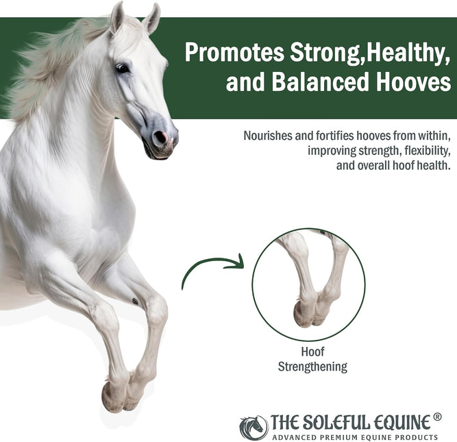 Hoof Oil, Horse Hoof White Line, Thrush, Abscesses, Overall Hoof Strength, Growth, Hoof Conditioning Rehydration
