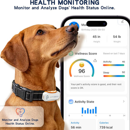 DBDD AI GPS Tracker for Dogs, Real Time Location and AI Health Care Management, Electronic Fence, Waterproof, iOS and Android Compatible (White)