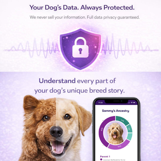 ORIVET GenoPet Plus Dog DNA Test Kit | 365+ Breed Identification & 330+ Genetic Health Conditions Included | Personalized Life Plan | At-Home Cheek Swab | Results in Approximately 3–5 Weeks