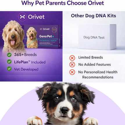 ORIVET GenoPet Plus Dog DNA Test Kit | 365+ Breed Identification & 330+ Genetic Health Conditions Included | Personalized Life Plan | At-Home Cheek Swab | Results in Approximately 3–5 Weeks