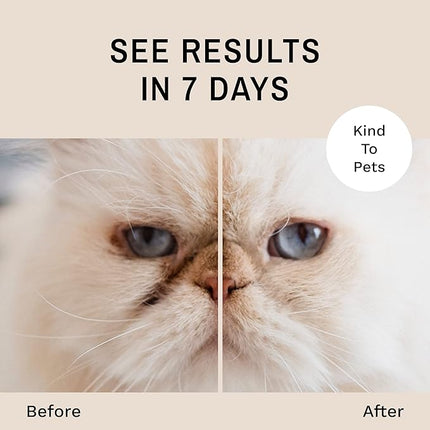 Eye Envy Tear Stain Remover Powder for Dogs and Cats. Natural, Safe Formula. Apply Around Eyes. Absorbs and Cleans Tears and Staining. Keeps Area Dry. Made in The USA. (.5 oz)