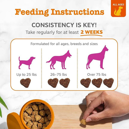 Zesty Paws Salmon Fish Oil Omega 3 For Dogs - With Wild Alaskan Salmon Oil - Anti Itch Skin & Coat + Allergy Support - Hip & Joint + Arthritis Dog Supplement - Omega-3 & 6 + Epa & Dha - 90 Chew Treats