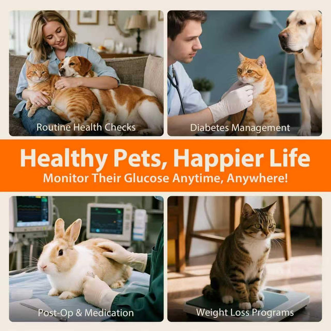 Pet Blood Glucose Monitor Kit for Dogs & Cats
