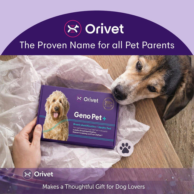 ORIVET GenoPet Plus Dog DNA Test Kit | 365+ Breed Identification & 330+ Genetic Health Conditions Included | Personalized Life Plan | At-Home Cheek Swab | Results in Approximately 3–5 Weeks