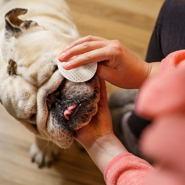 Eye Envy Bulldog Wrinkle Wipes for French, Pug, English Bulldogs , USA Made - 60 Count