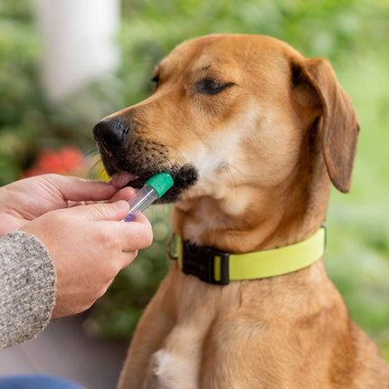 Embark Dog DNA Test Kit | Breed & Genetic Ancestry Discovery | at-Home Cheek Swab -Mixed Breed and Purebred Dog DNA Test