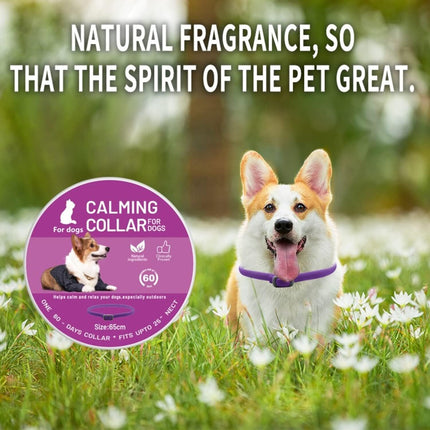 Calming Collar for Dogs