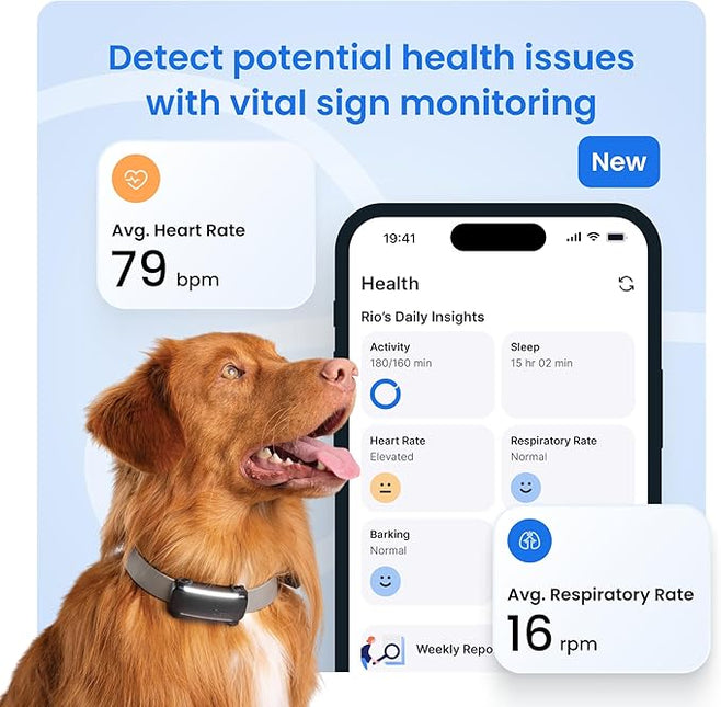 Tractive GPS Dog Tracker (2025 Release with Free 6 Month Subscription) |