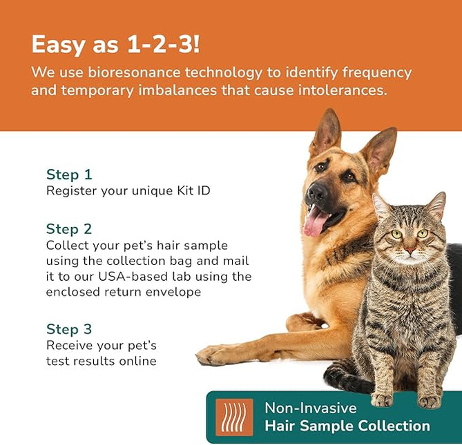 Pet Sensitivity Test Kit - Tests 1000+ Food & Environmental Intolerances - At-Home Hair Sample - Results in 48 Hours - Cats & Dogs