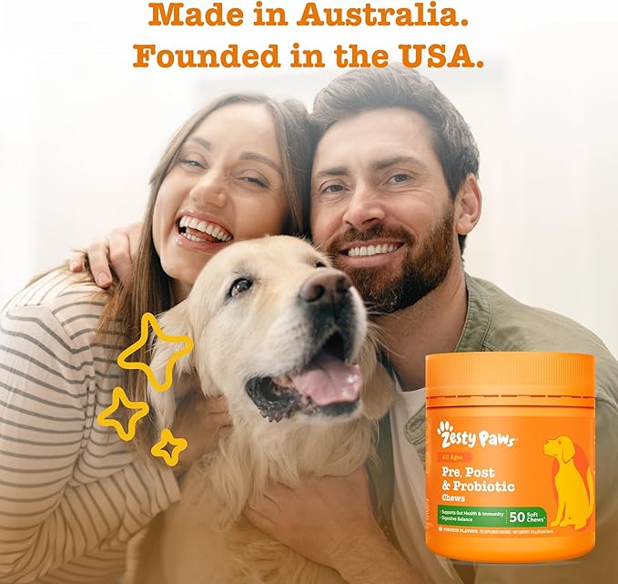Zesty Paws Pre, Post & Probiotic Chews & Treats for Dogs, Pumpkin Flavour w/Epicor Postbiotics for Immune Support, Bacillus Subtilis & Inulin for Gut Health, All Breeds & Ages, 50 Pieces