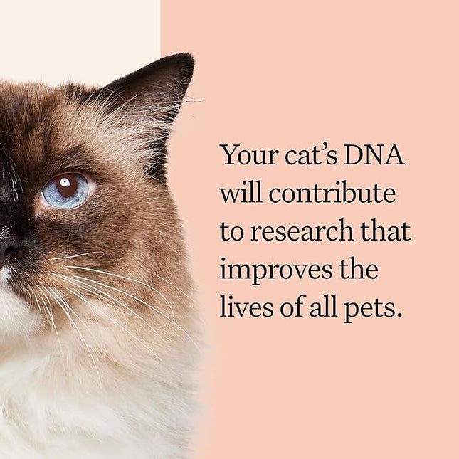 Wisdom Panel Complete: Comprehensive Cat DNA Test kit for 45 Health Genetic Health Conditions, 70+ Breeds and populations, 25+ Traits, Blood Type - Pack of 1