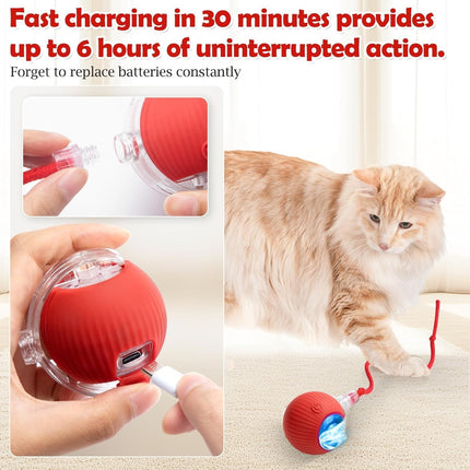 Smart Chase Teaser Ball