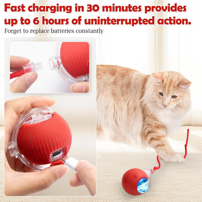 Smart Chase Teaser Ball