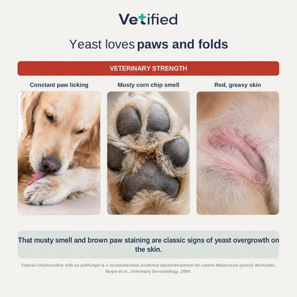 Yeast Wipes for Dogs & Cats (Veterinary Strength) Paws, Skin Folds & Odor – Chlorhexidine + Ketoconazole Antifungal Antibacterial Wipes