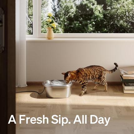 PETLIBRO Stainless Steel Cat Water Fountain, 3L Pet Water Fountain for Cats & Dogs
