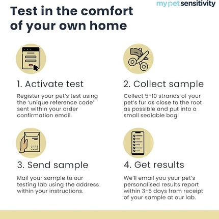 Advanced Allergen Test - At-Home Pet Allergy Test | 550 Items | Quick Results | Non-Invasive Hair Collection | Food, Environment, Nutrient & Mineral Analysis | All Breeds & Ages