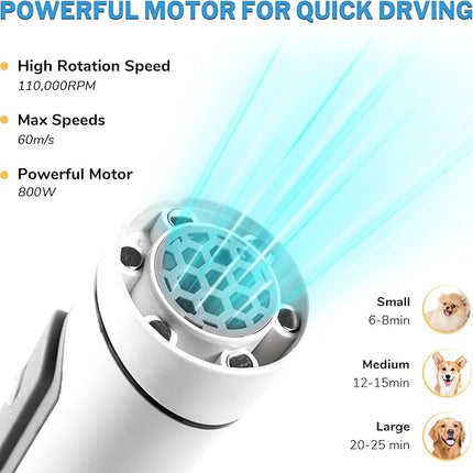 Lightweight Portable Dog Hair Dryer for Small Medium Large Dogs with 3 Nozzle