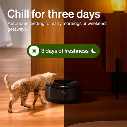 PETLIBRO Automatic Wet Food Cat Feeder, Refrigerated Auto Cat Feeder with Stainless Steel Bowl & Semiconductor Cooling, Fresh Meals for 3 Days, Wi-Fi App-Controlled Pet Food Dispenser, Easy to Clean