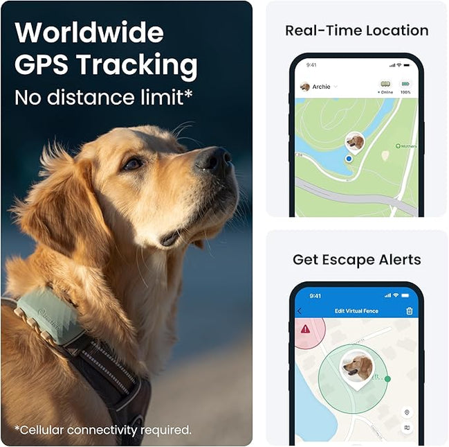 Tractive Dog XL GPS Tracker for Large Dogs, Green
