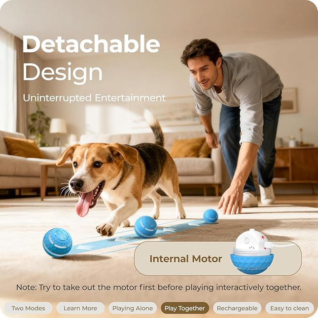 Interactive Dog Toys: Automatic Moving Dog Balls with LED Lights - (Blue)