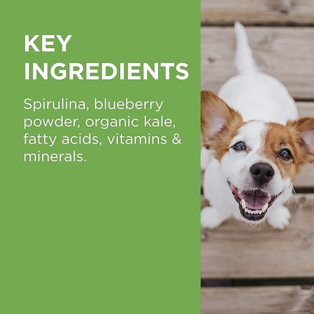 PAW by Blackmores Wellness and Vitality Multivitamins for Dogs |Maintains General Wellness & Vitality | 60 Chews
