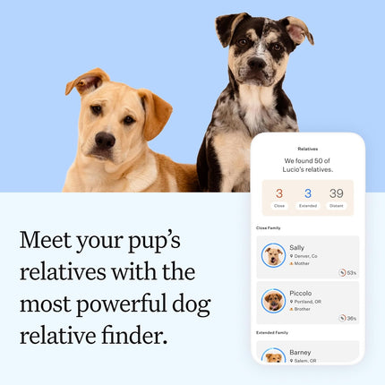 Wisdom Panel Essential Dog DNA Testing Kit - Most Accurate Test for 430+ Dog Breeds, 30 Genetic Health Conditions, 50+ Traits, Relatives, Ancestry, 1 Pack