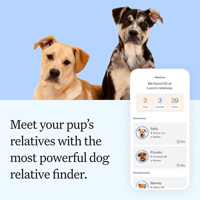 Wisdom Panel Essential Dog DNA Testing Kit - Most Accurate Test for 430+ Dog Breeds, 30 Genetic Health Conditions, 50+ Traits, Relatives, Ancestry, 1 Pack