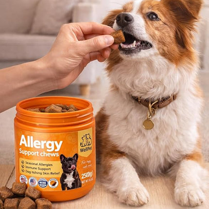 WellPet Allergy Support Chews for Dogs and Cats, Chicken Flavour, Immune Support, Itching Skin Relief, 250g