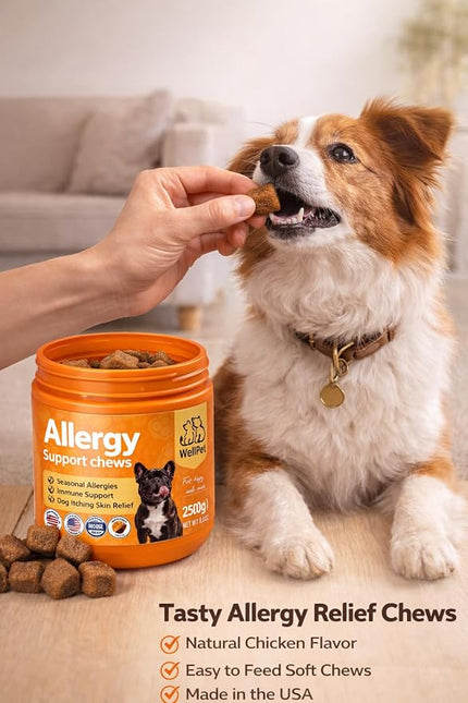 WellPet Allergy Support Chews for Dogs and Cats, Chicken Flavour, Immune Support, Itching Skin Relief, 250g