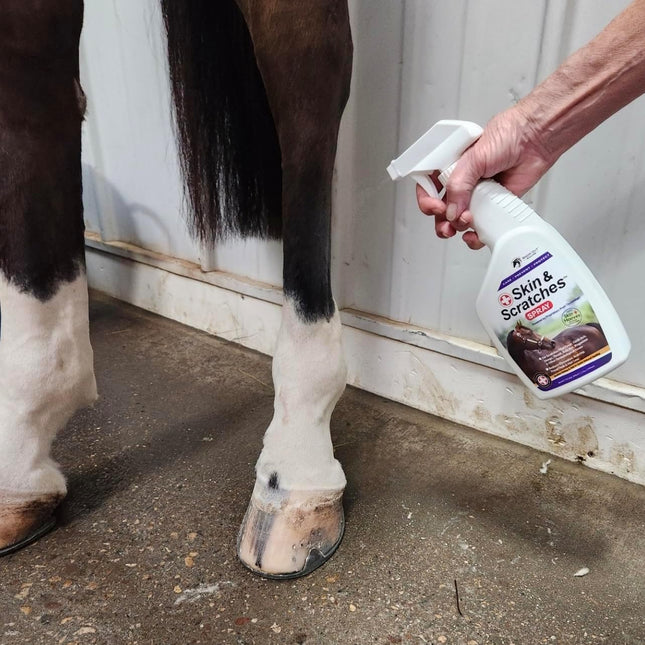 Show Out Skin & Scratches 4 oz Concentrate - Fast Relief and Prevention for Horse Care