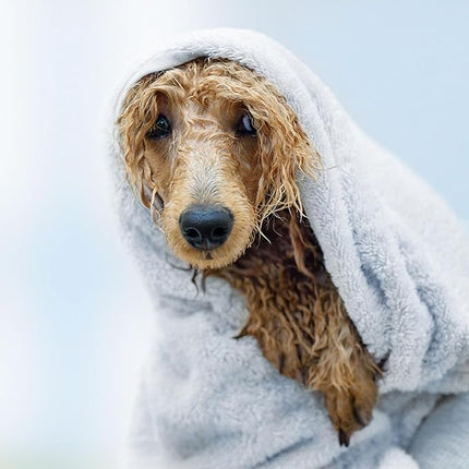 Eye Envy Moisturizing Pet Shampoo. Cleans, softens, adds Shine. Fragrance Free. Detergent Free. Gentle for Everyday use. Glycerin enriched. Safe for Puppies and Kittens. 16oz
