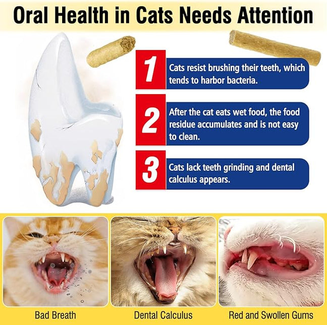 30g Freezed Dried Cat Dental Treats Chicken Flavor