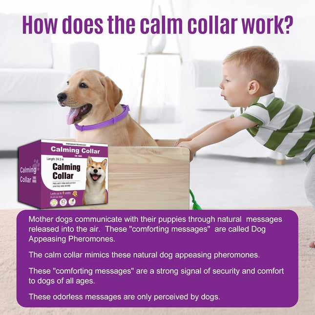 Calming Collar for Dogs 4 Packs, Dog Pheromone Calm Collars Relief Anxiety Stress Separation Lasts 60 Days