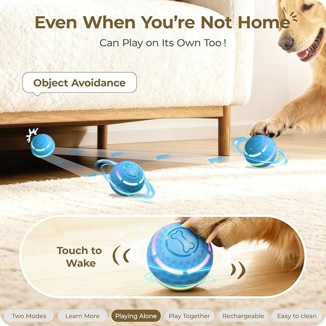 Interactive Dog Toys: Automatic Moving Dog Balls with LED Lights - (Blue)