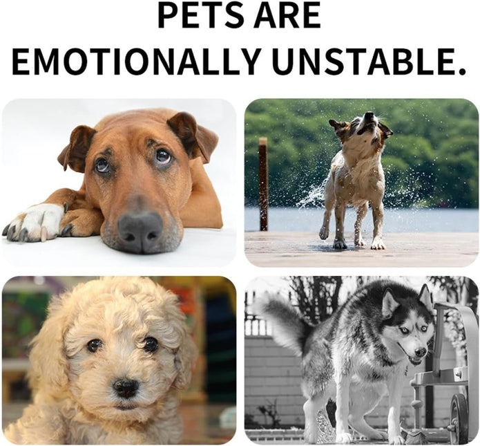 Calming Collar for Dogs