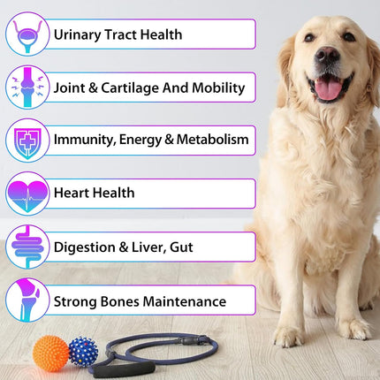 15 in 1 Dog Multivitamin, All-in-One Multi Liquid Multivitamin for Dogs