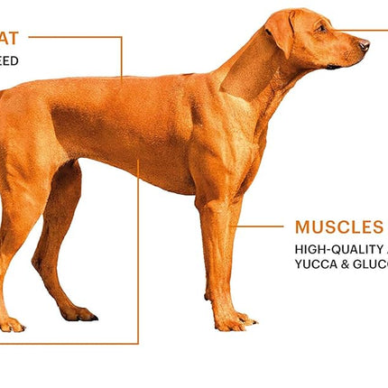 SavourLife Grain Free, Dog Food, Kangaroo & Chicken - High Protein, 2.5kg