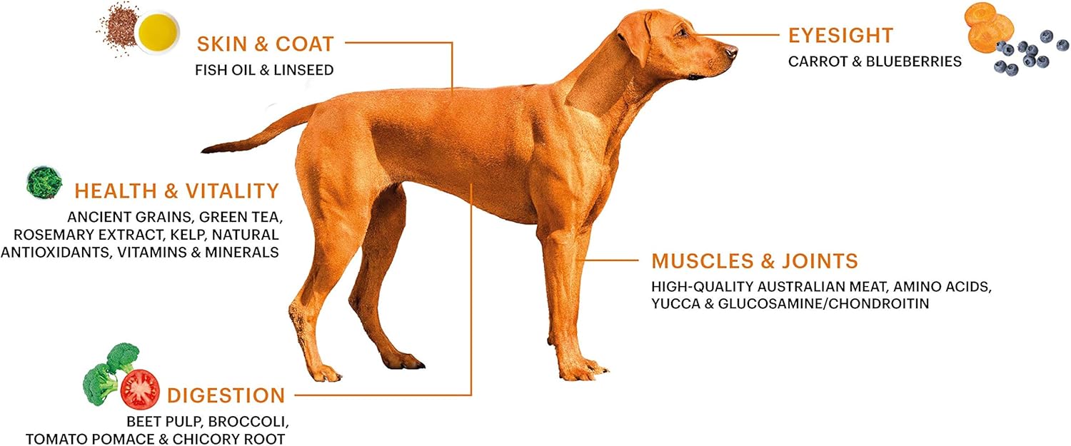 SavourLife Grain Free, Dog Food, Kangaroo & Chicken - High Protein, 2.5kg