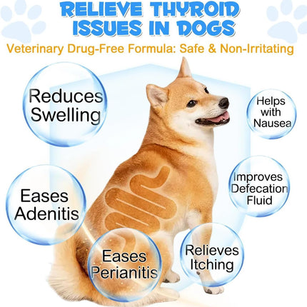 Anal Gland Support Soft Chews for Dogs - Pumpkin, Probiotics & Digestive Enzymes - Beef Flavour, 150 Count (375g)