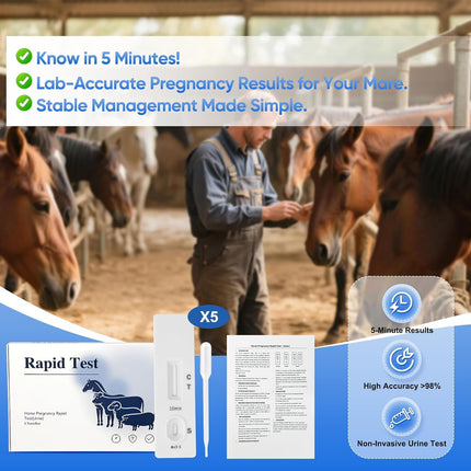 Horse Pregnancy Test - 5 Pack Mares Pregnancy Urine Test Strips