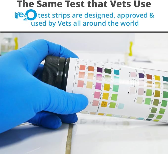 life2O 10-Parameter Cat & Dog Urine Test Strips 60ct, Cat & Dog UTI Test Kit, Diabetes Testing for Diabetic Pets, Urinalysis Reagent Strips: Glucose, Specific Gravity, pH, Ketone, Protein & More.
