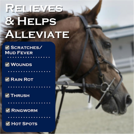 Show Out Skin & Scratches 4 oz Concentrate - Fast Relief and Prevention for Horse Care