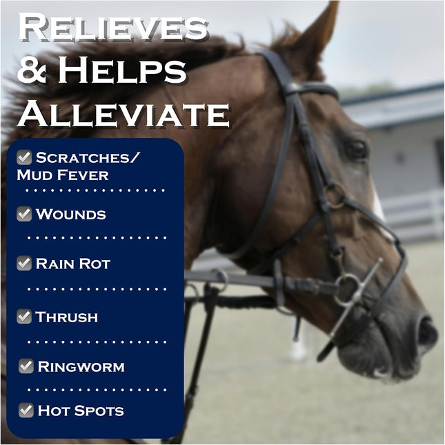 Show Out Skin & Scratches 4 oz Concentrate - Fast Relief and Prevention for Horse Care