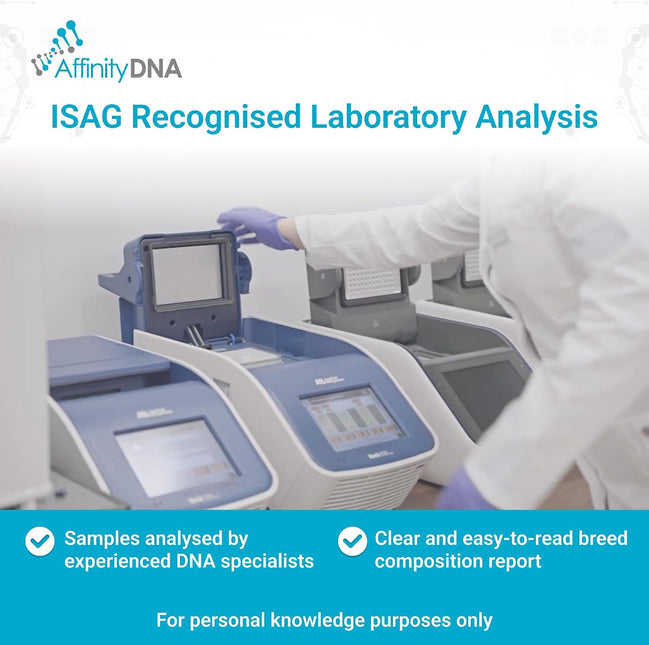 Horse Breed Test Kit USA | At Home Equine DNA Analysis Service | Covers Almost 90 Horse Breeds